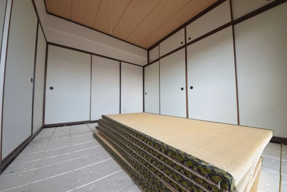 第2泰山ハイツ 501号室の写真 11