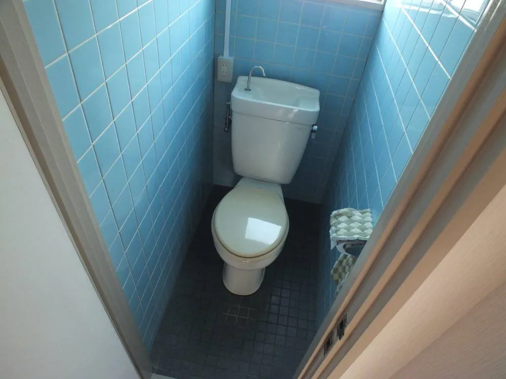 グリーンビル 301号室の写真 7
