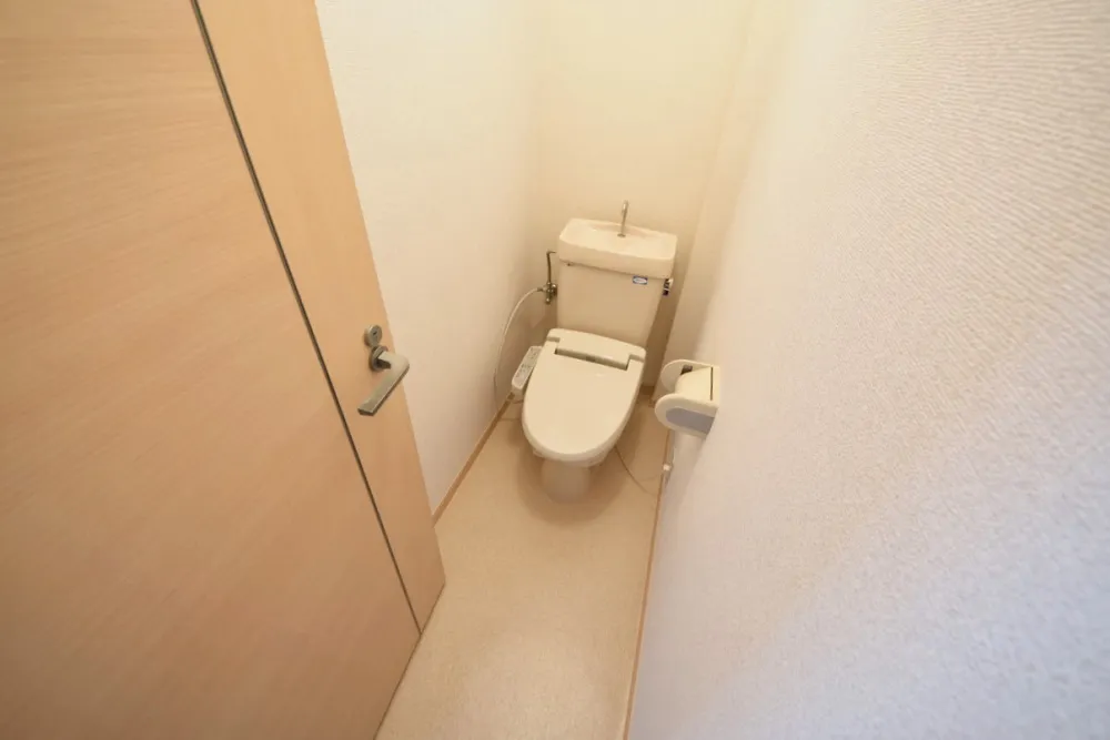 大県マンションⅡ 303号室の写真 7
